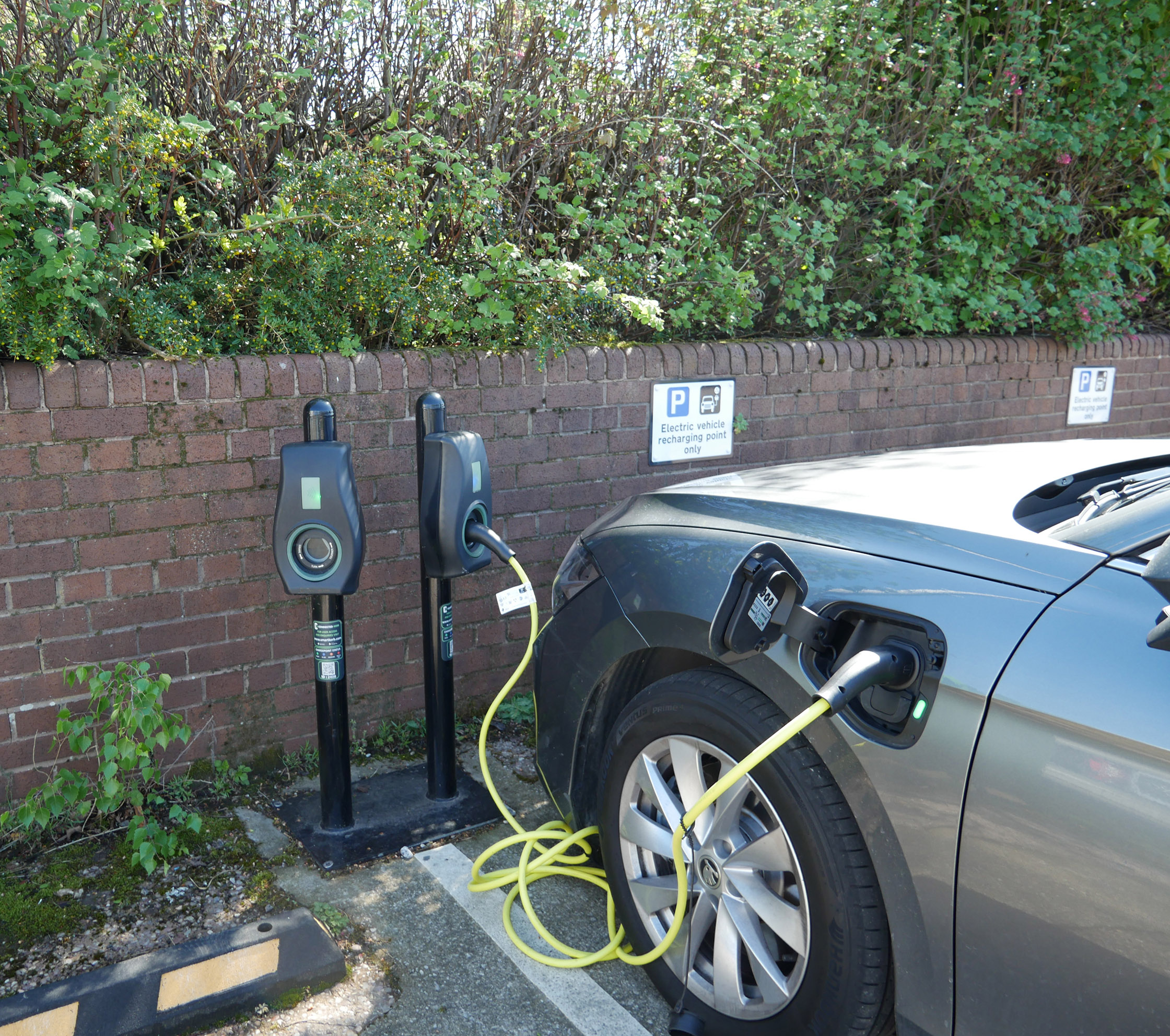 Front of car being charged with electric vehicle charging plug at a charging station
