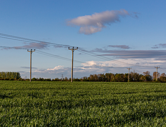 field with overhead electrical wires